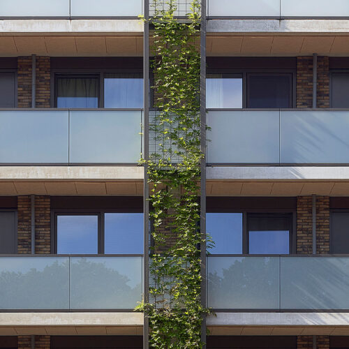 Kunststof kozijnen en Houten kozijnen voor 201 sociale huurwoningen in Ede. Foto van klimop aan de balkons op het project Op Enka.